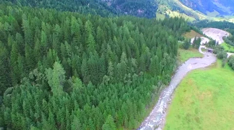 Flight Over Beautiful Forest In Sunny Day Stock Footage 58091589