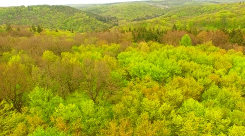 Flight over beautiful green forest Stock Footage 62738788