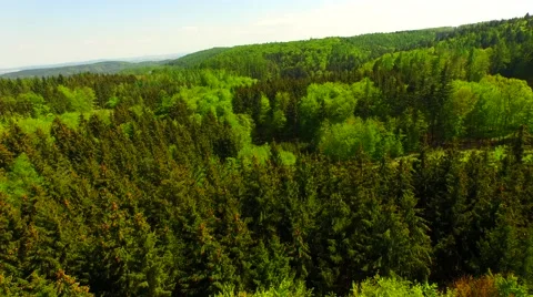 Flight over beautiful green forest Stock Footage 62904187