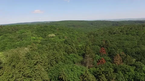 Flight over beautiful green forest Stock Footage 63868152