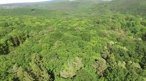 Flight over beautiful green forest Stock Footage 63868874