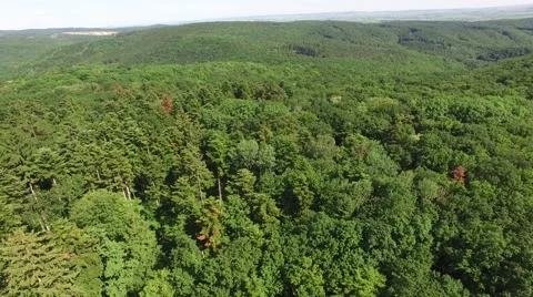 Flight over beautiful green forest Stock Footage 63869561
