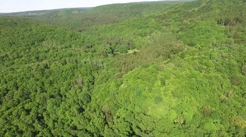 Flight over beautiful green forest Stock Footage 63869814