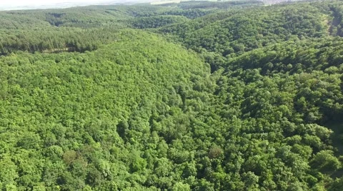 Flight over beautiful green forest Stock Footage 63870594
