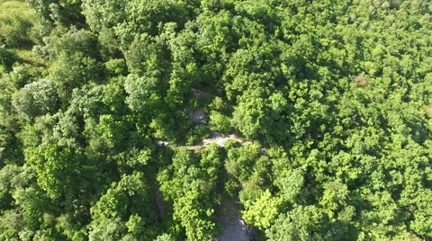 Flight over beautiful green forest Stock Footage 63870632