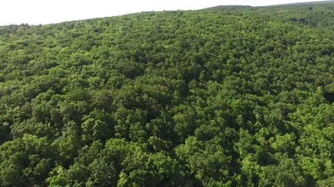 Flight over beautiful green forest Stock Footage 63870757