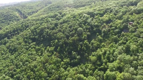 Flight over beautiful green forest Stock Footage 63870817