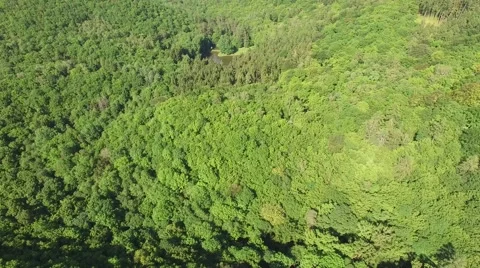 Flight over beautiful green forest Stock Footage 63871550