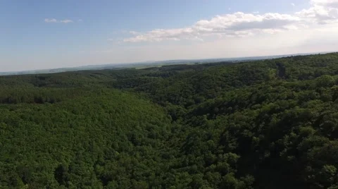 Flight over beautiful green forest Stock Footage 63871666