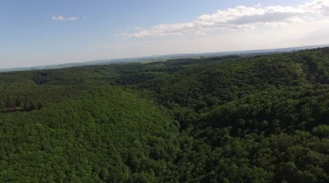 Flight over beautiful green forest Stock Footage 63872168