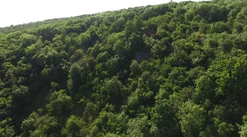 Flight over beautiful green forest Stock Footage 63872441