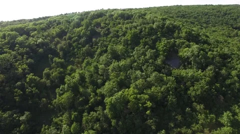 Flight over beautiful green forest Stock Footage 63872919