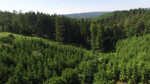 Flight over beautiful green forest Stock Footage 63937825