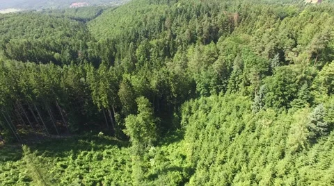 Flight over beautiful green forest Stock Footage 63944063