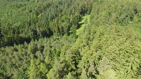 Flight over beautiful green forest Stock Footage 63945752