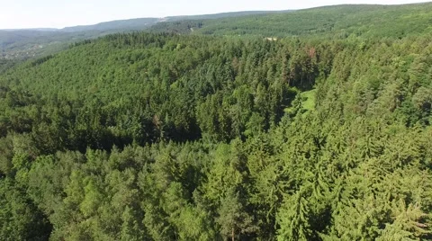 Flight over beautiful green forest Stock Footage 63947085