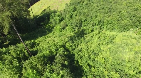 Flight over beautiful green forest Stock Footage 63947626