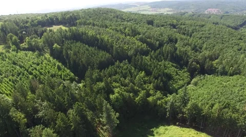 Flight over beautiful green forest Stock Footage 63948901