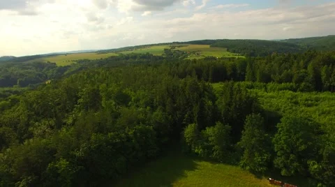 Flight over beautiful green forest Stock Footage 64196892