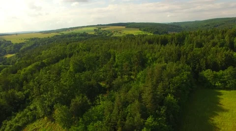 Flight over beautiful green forest Stock Footage 64196972