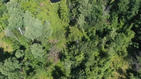 Flight over a beautiful lake in the forest, nature in Russia Stock Footage 121983237