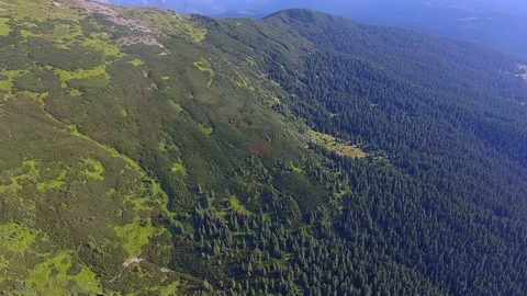 Flight over beautiful mountains range with forests Stock Footage 79985723