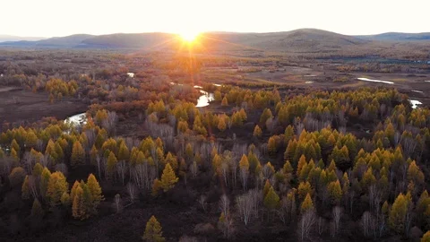 Flight over beautiful river and autumn colorful woods, drone Aerial view Vídeo Stock 99591160