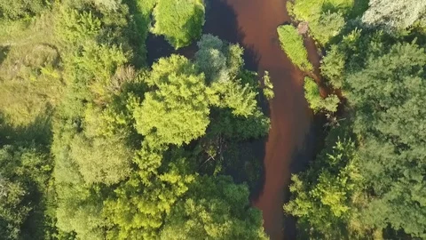 Flight over the Beautiful River Video stock 97100739