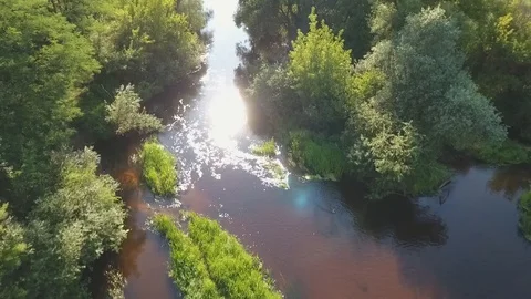 Flight over the Beautiful River Video stock 97100743