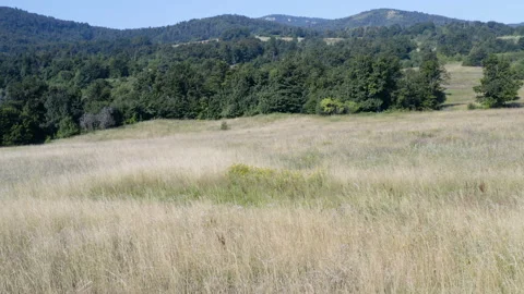 Flight over a beautiful valley surrounded by mountains Video stock 136829906