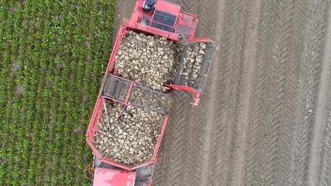 Flight over the beetroot harvester, close up, aerial view Stock Footage 121101352