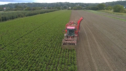 Flight over the beetroot harvester, close up, aerial view Stock Footage 121101408