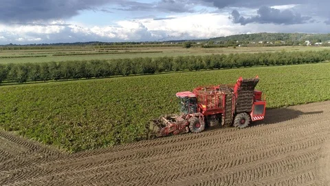 Flight over the beetroot harvester, close up, aerial view Stock Footage 121101414
