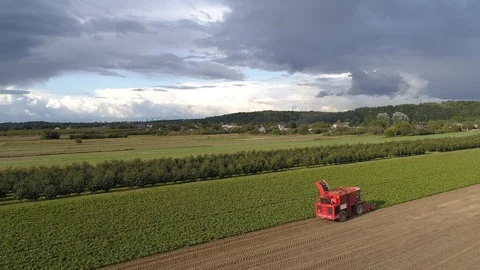 Flight over the beetroot harvester, close up, aerial view Stock Footage 121101460
