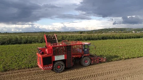 Flight over the beetroot harvester, close up, aerial view Stock Footage 121101506