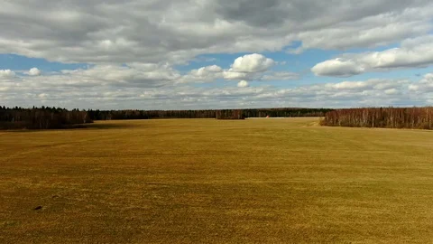 Flight over a beveled field with orange grass. Video stock 129350828
