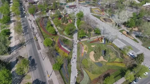 Flight over a blossoming park Video stock 159483027