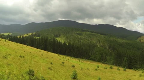 Flight over bright hill in mountains with  wood .Aerial  shot  Stock Footage 43247865
