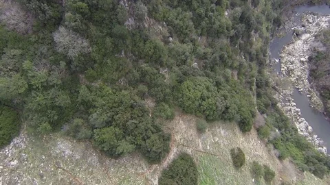 Flight over the brook Stock Footage 72365286