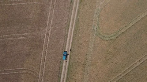 Flight over cereal field at summer. Vídeos de archivo 91835924