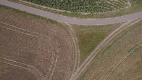 Flight over cereal field at summer. 4k aerial Video stock 91835951