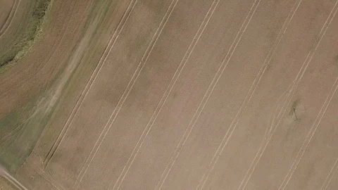 Flight over cereal field at summer. Stock Footage 91836451