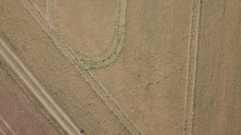 Flight over cereal field at summer. Stock Footage 91840975