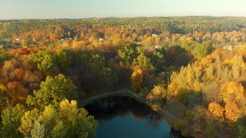 Flight over city park full of trees with orange and yellow autumn foliage 스톡 동영상 135997947