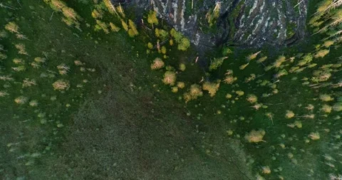 Flight over a clear-cut area in Finland Stock Footage 209559942