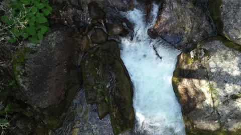 Flight over Clear Eco Mountain River in Forest Top View Stock Footage 221044617