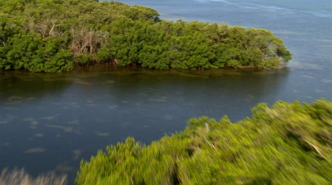 Flight over clear water and narrow wooded islands near Tampa, Florida Stock Footage 59541348