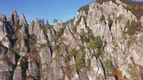 Flight over cliffs in autumn forest Vídeo Stock 131765308
