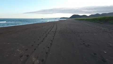 Flight over the coast of Kamchatka Stock Footage 174843177