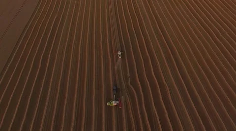 Flight over combaines harvesters threshing wheat Stock Footage 65251791